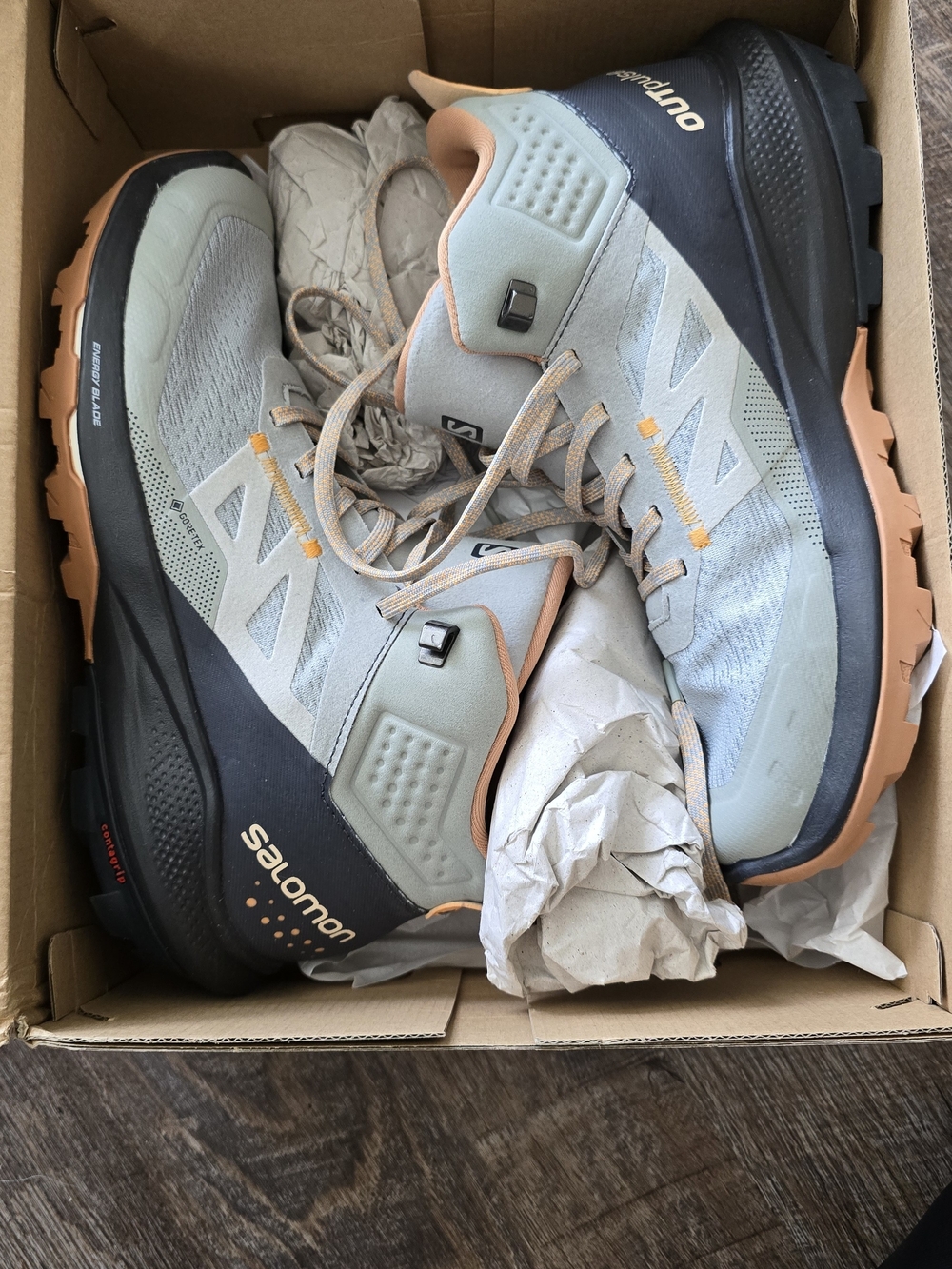 Salomon Hiking Shoes